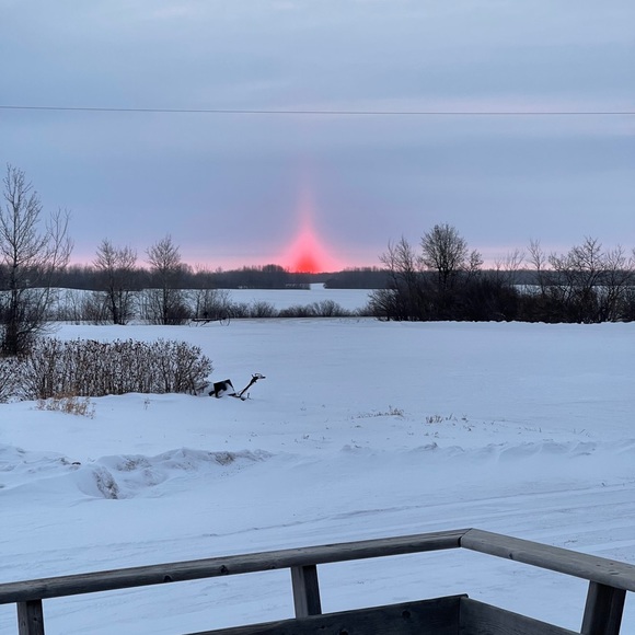 Meet your Posher, Deanne - Picture 1 of 1